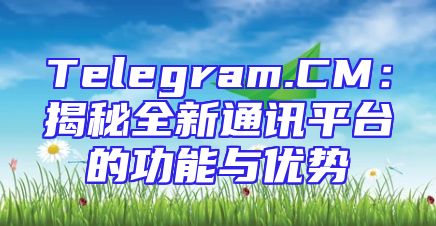Telegram.CM：揭秘全新通讯平台的功能与优势