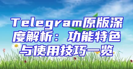 Telegram原版深度解析：功能特色与使用技巧一览