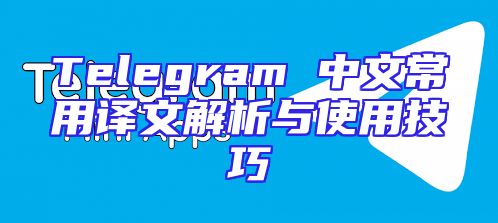 Telegram 中文常用译文解析与使用技巧