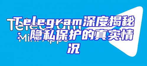 Telegram深度揭秘：隐私保护的真实情况
