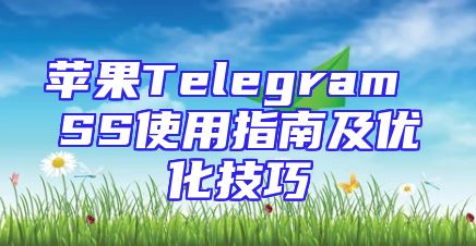 苹果Telegram SS使用指南及优化技巧