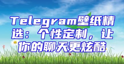 Telegram壁纸精选：个性定制，让你的聊天更炫酷