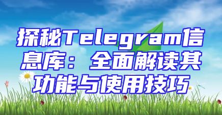 探秘Telegram信息库：全面解读其功能与使用技巧