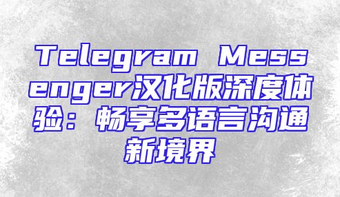 Telegram Messenger汉化版深度体验：畅享多语言沟通新境界