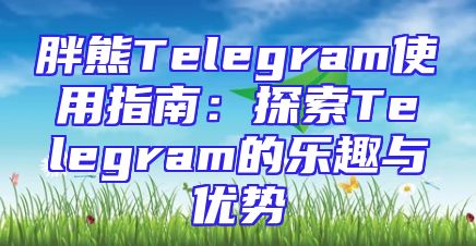 胖熊Telegram使用指南：探索Telegram的乐趣与优势