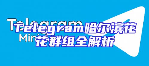Telegram哈尔滨花花群组全解析