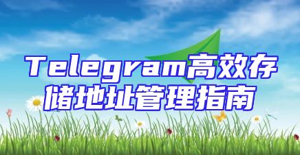 Telegram高效存储地址管理指南
