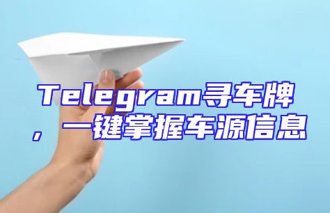 Telegram寻车牌，一键掌握车源信息