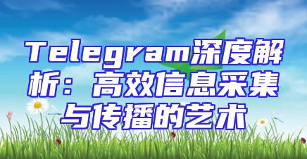 Telegram深度解析：高效信息采集与传播的艺术