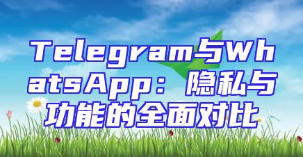 Telegram与WhatsApp：隐私与功能的全面对比