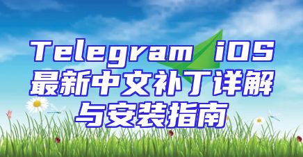 Telegram iOS最新中文补丁详解与安装指南