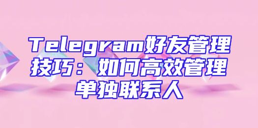 Telegram好友管理技巧：如何高效管理单独联系人