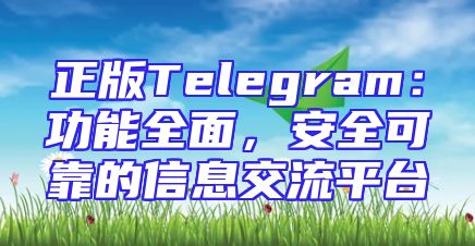 正版Telegram：功能全面，安全可靠的信息交流平台