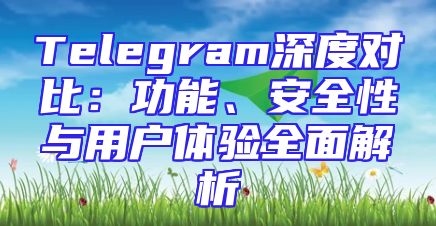 Telegram深度对比：功能、安全性与用户体验全面解析