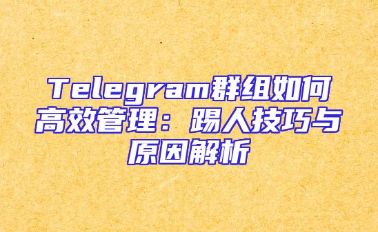 Telegram群组如何高效管理：踢人技巧与原因解析