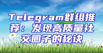 Telegram群组推荐：发现高质量社交圈子的秘诀