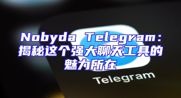 Nobyda Telegram：揭秘这个强大聊天工具的魅力所在