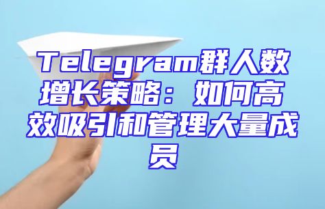 Telegram群人数增长策略：如何高效吸引和管理大量成员