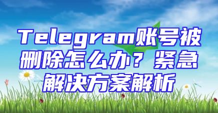 Telegram账号被删除怎么办？紧急解决方案解析