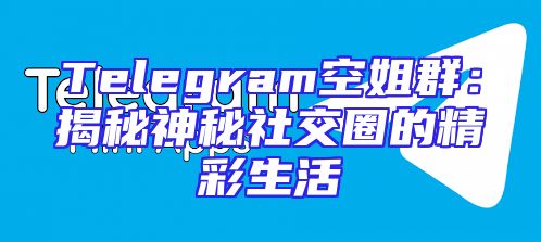 Telegram空姐群：揭秘神秘社交圈的精彩生活