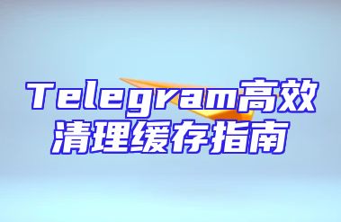 Telegram高效清理缓存指南