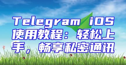 Telegram iOS使用教程：轻松上手，畅享私密通讯