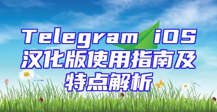 Telegram iOS汉化版使用指南及特点解析