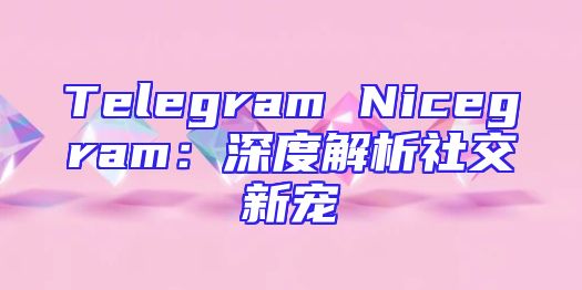 Telegram Nicegram：深度解析社交新宠