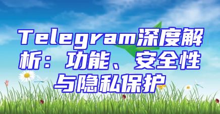 Telegram深度解析：功能、安全性与隐私保护