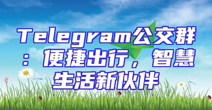 Telegram公交群：便捷出行，智慧生活新伙伴