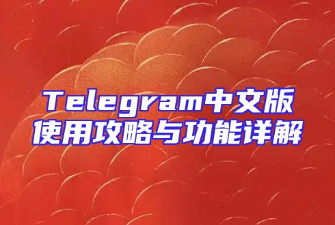 Telegram中文版使用攻略与功能详解