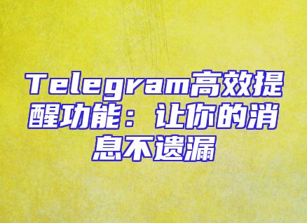 Telegram高效提醒功能：让你的消息不遗漏