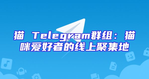 猫 Telegram群组：猫咪爱好者的线上聚集地