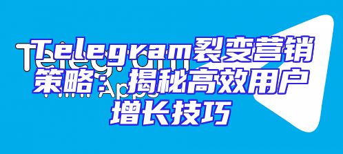 Telegram裂变营销策略：揭秘高效用户增长技巧