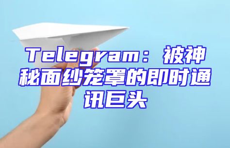 Telegram：被神秘面纱笼罩的即时通讯巨头