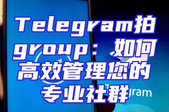 Telegram拍group：如何高效管理您的专业社群