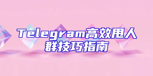Telegram高效甩人群技巧指南