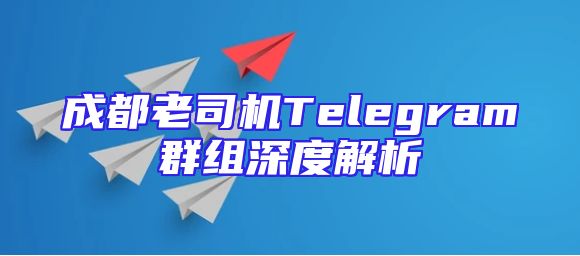 成都老司机Telegram群组深度解析