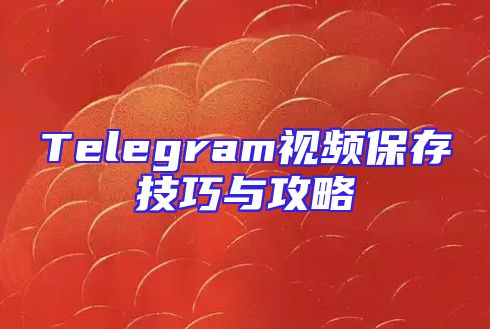 Telegram视频保存技巧与攻略