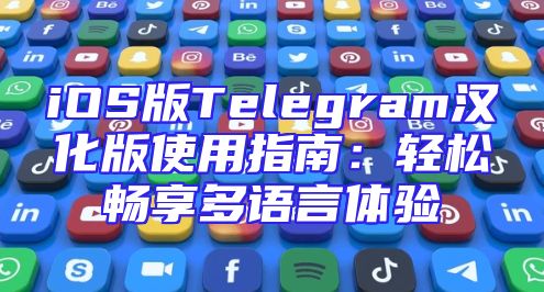 iOS版Telegram汉化版使用指南：轻松畅享多语言体验