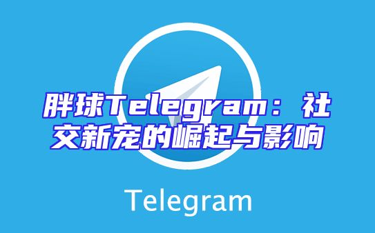 胖球Telegram：社交新宠的崛起与影响
