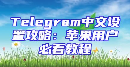 Telegram中文设置攻略：苹果用户必看教程