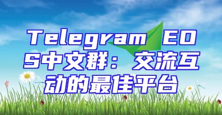Telegram EOS中文群：交流互动的最佳平台