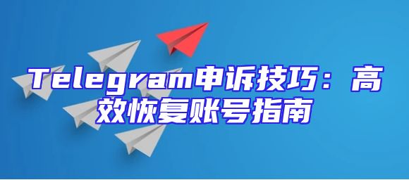Telegram申诉技巧：高效恢复账号指南