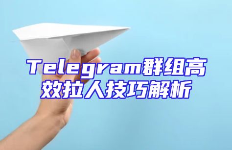 Telegram群组高效拉人技巧解析