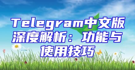 Telegram中文版深度解析：功能与使用技巧