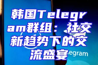 韩国Telegram群组：社交新趋势下的交流盛宴