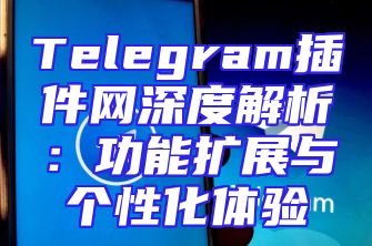 Telegram插件网深度解析：功能扩展与个性化体验