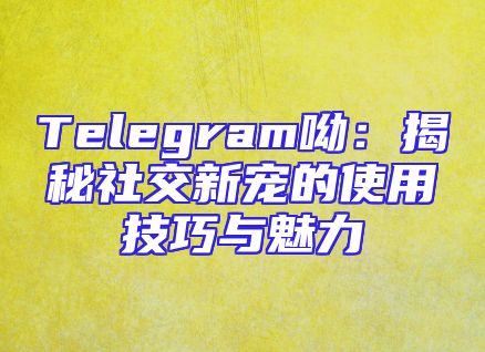 Telegram呦：揭秘社交新宠的使用技巧与魅力