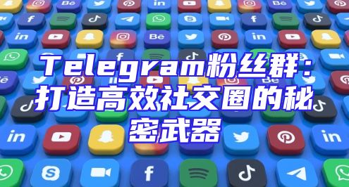 Telegram粉丝群：打造高效社交圈的秘密武器